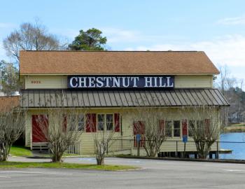 Chestnut Hill 